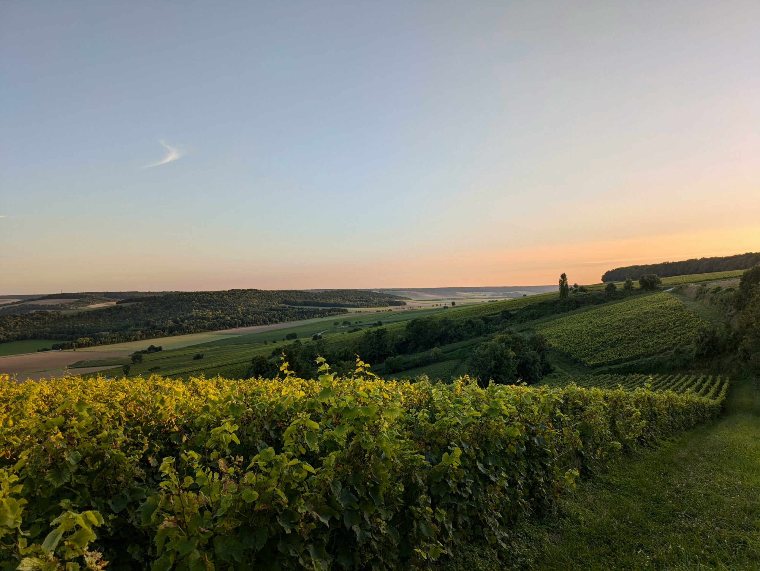 Montgueux
